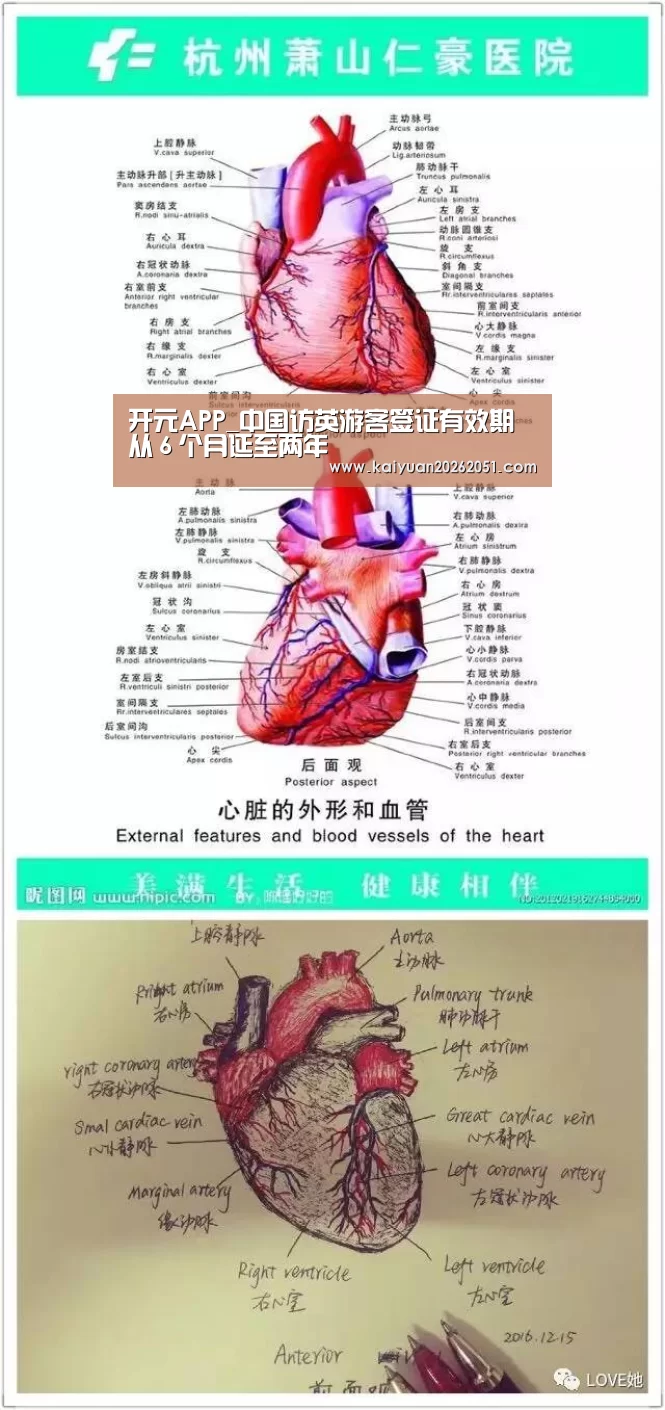 开元APP_中国访英游客签证有效期从６个月延至两年