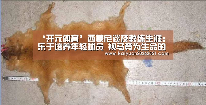 开元下载
