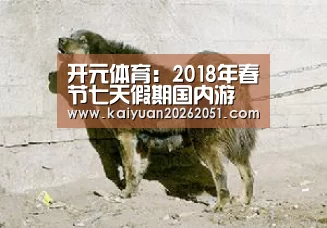 开元体育：2018年春节七天假期国内游