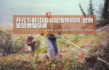 开元下载|中国游客境外购物 退税金额增幅
